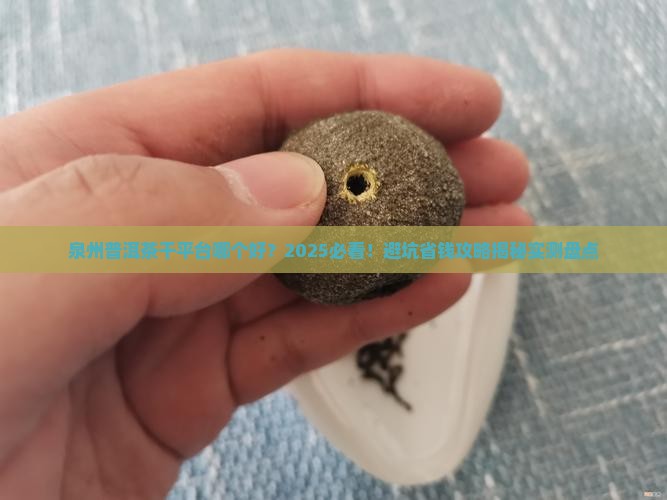 泉州普洱茶干平台推荐