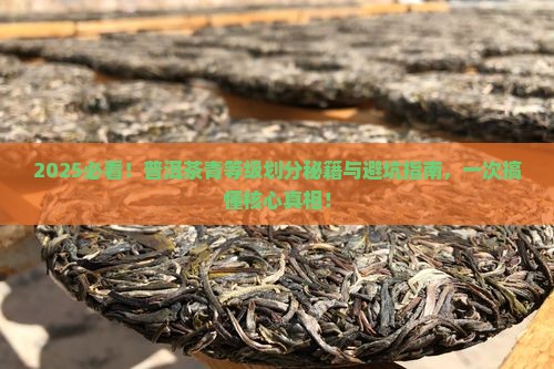 普洱茶青等级划分