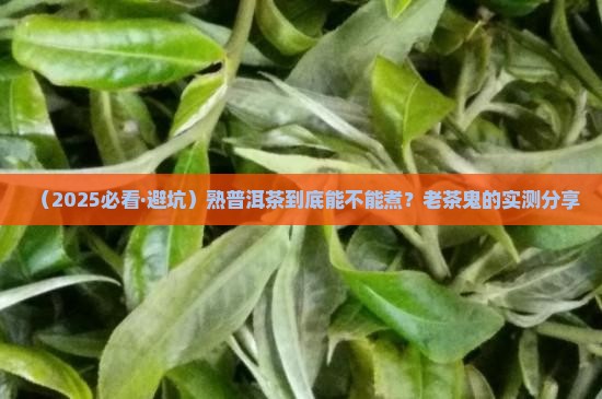 熟普洱茶煮茶吗