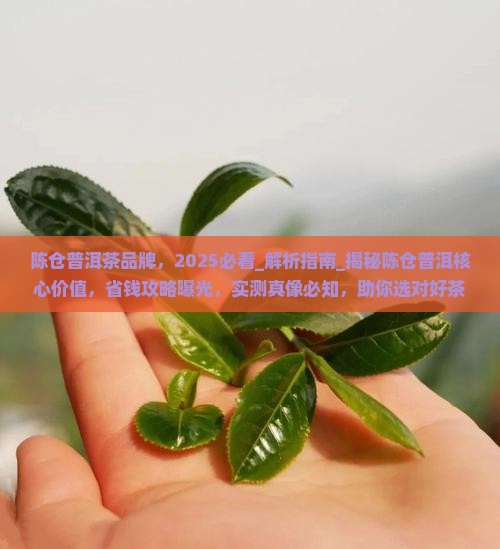 陈仓普洱茶品牌