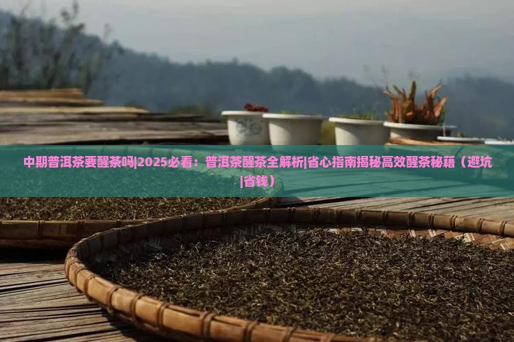 中期普洱茶要醒茶吗