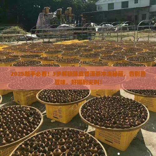 陈皮普洱茶如何冲泡好