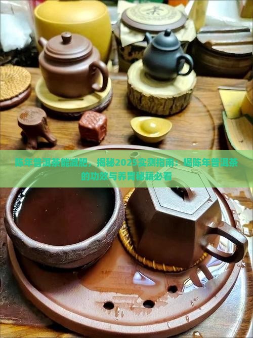 陈年普洱茶能减肥