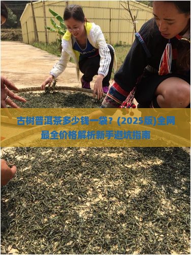 古树普洱茶多少钱袋