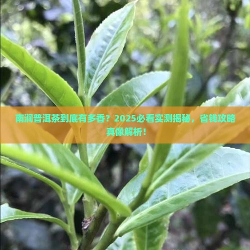 南涧普洱茶优越性