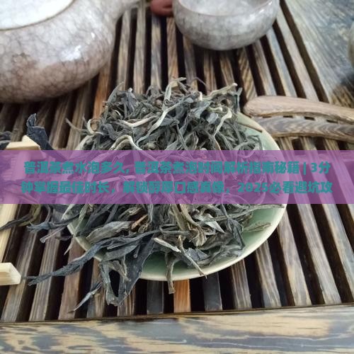 普洱茶煮水泡多久