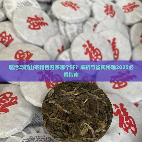 临沧马鞍山茶和昔归茶哪个好