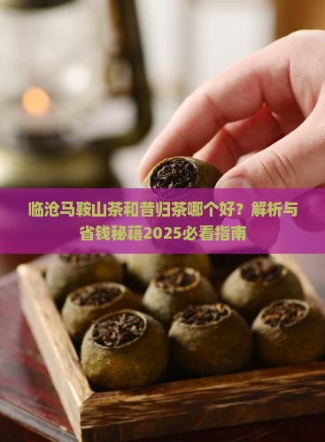 临沧马鞍山茶和昔归茶哪个好