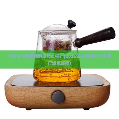中茶多特利品牌怎样