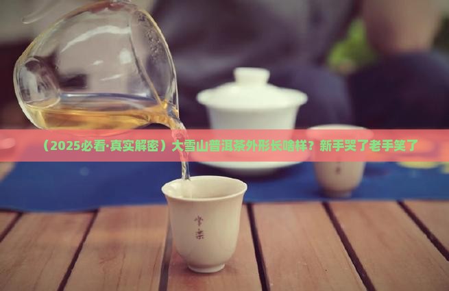 大雪山普洱茶外形