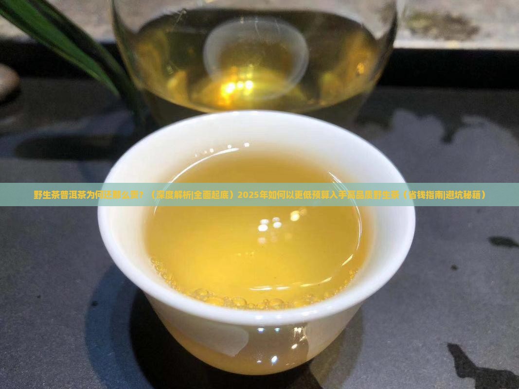 野生茶普洱茶为何还那么贵