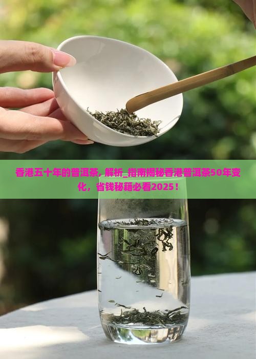 香港五十年的普洱茶