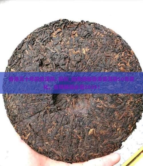 香港五十年的普洱茶