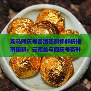 龙马同庆号普洱茶测评