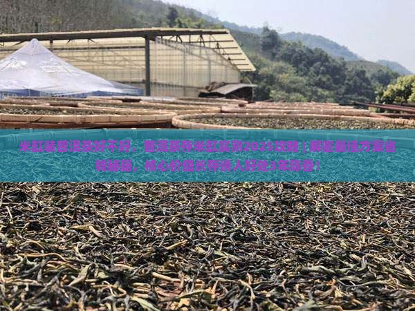 米缸装普洱茶好不好