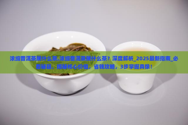浓缩普洱茶属什么茶