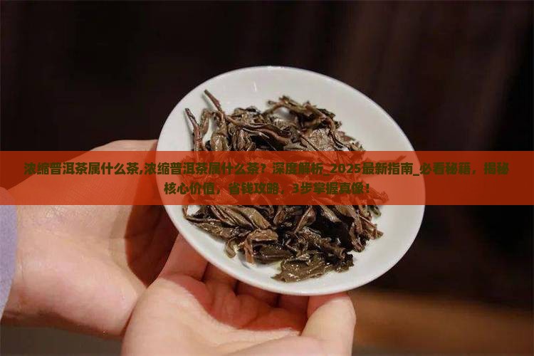 浓缩普洱茶属什么茶