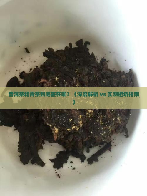 普洱茶与青茶区别