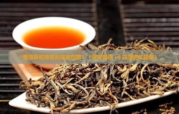 普洱茶与青茶区别