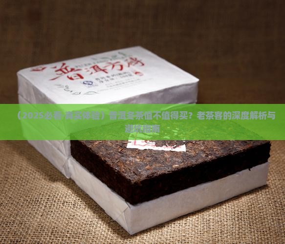 普洱冬茶好不好