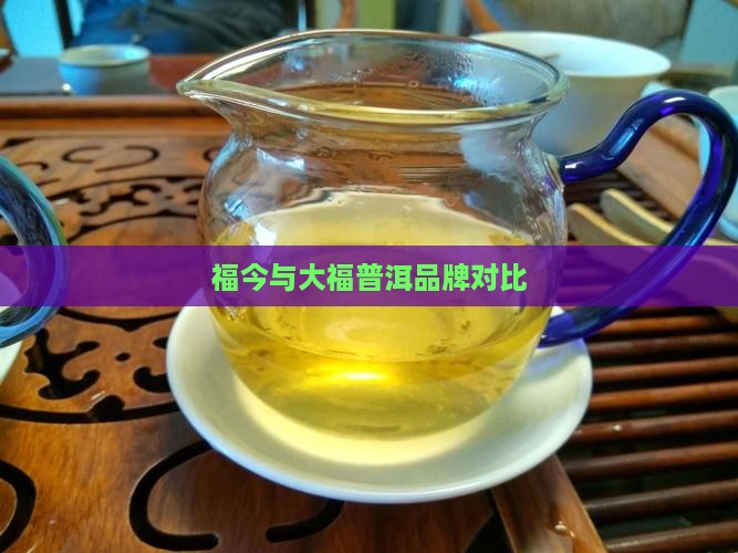 广隆茶厂与今大福对比
