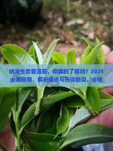 纳海生态普洱茶