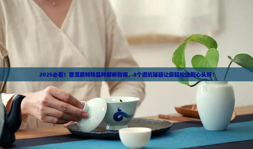 普洱茶特殊品种