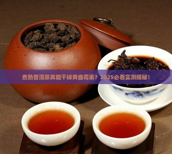 煮熟普洱茶能杀黄曲霉素吗