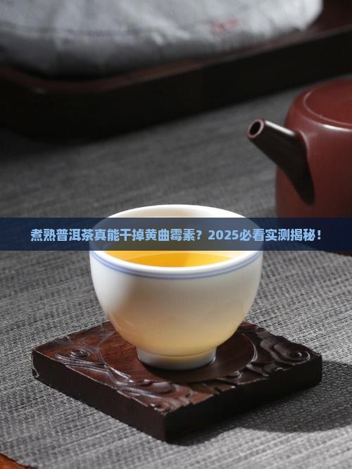 煮熟普洱茶能杀黄曲霉素吗