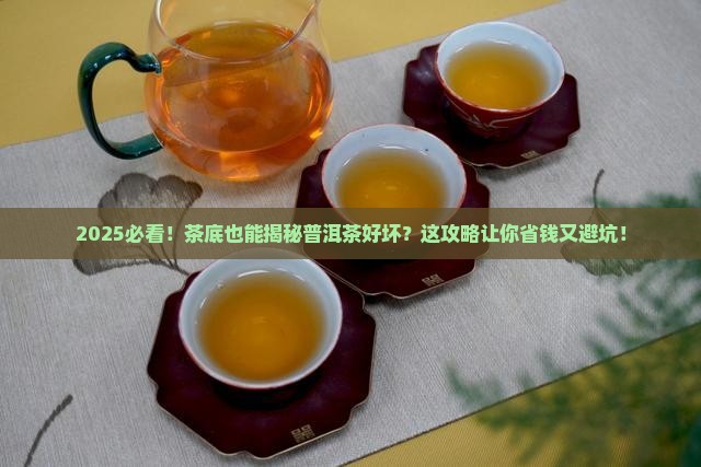 茶底辨别普洱茶好坏