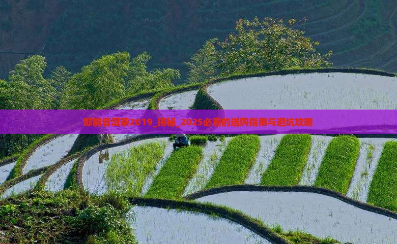 郎韵普洱茶2019