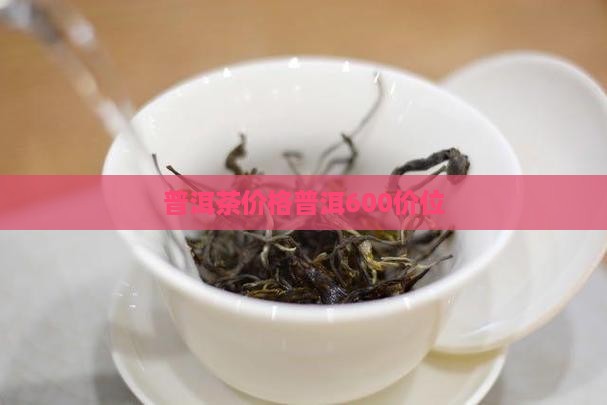 普洱茶600价位