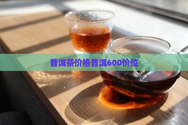 普洱茶600价位