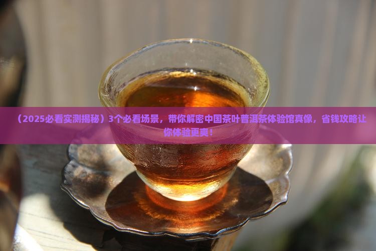 中国茶叶普洱茶体验馆