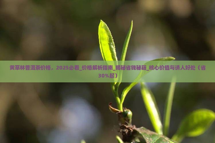 黄草林普洱茶价格