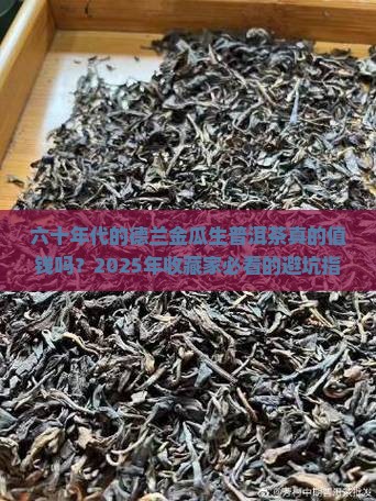 德兰金瓜生普洱茶六十年代
