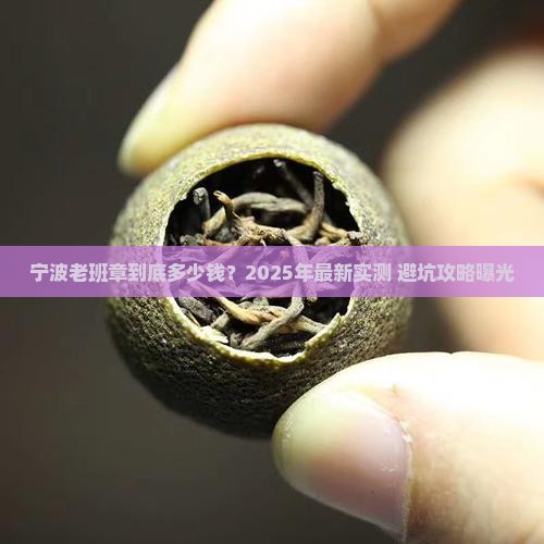 宁波老班章多少钱