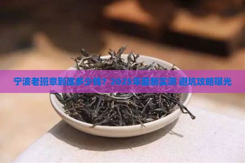 宁波老班章多少钱