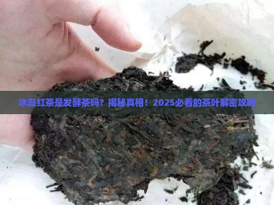 冰岛红茶是不是发酵茶