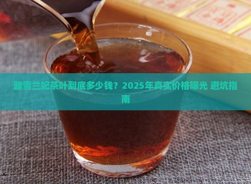 踏雪兰妃茶叶多少钱