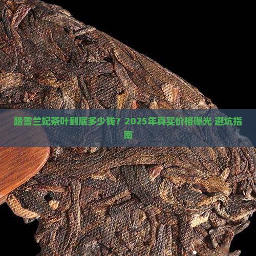踏雪兰妃茶叶多少钱