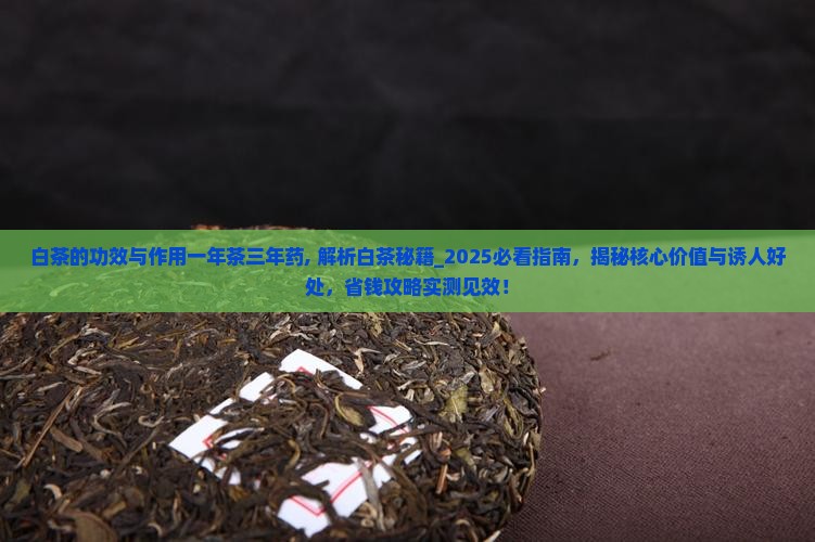白茶的功效与作用一年茶三年药