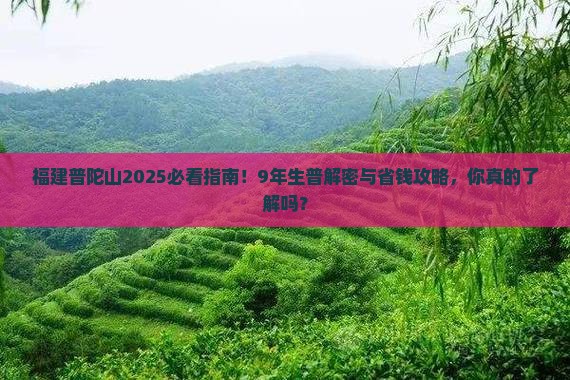 福建普陀山在哪里9年的生普