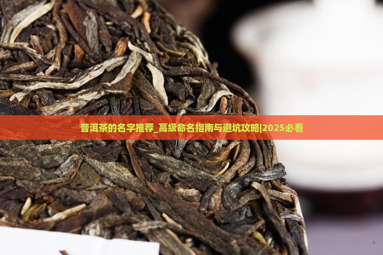 普洱茶的名字推荐高级一点的