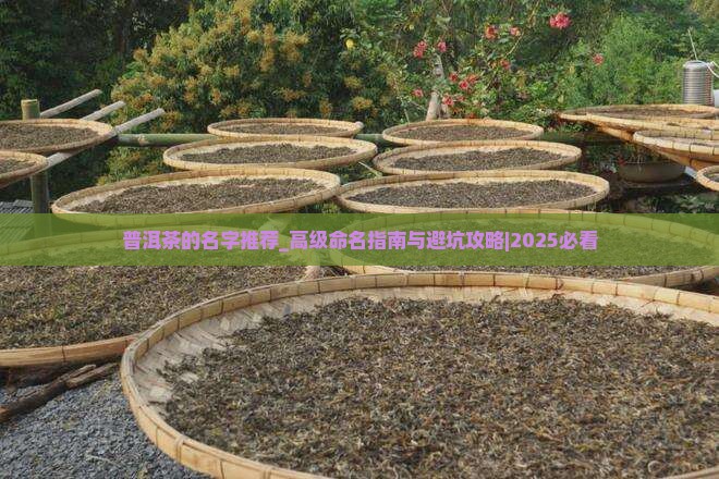普洱茶的名字推荐高级一点的