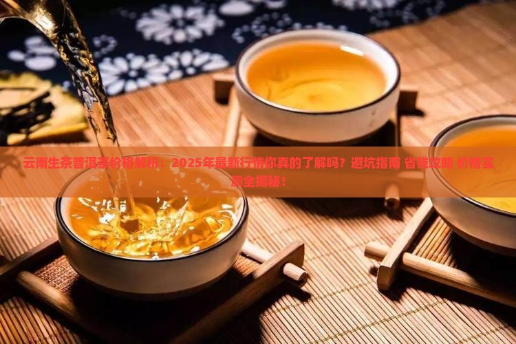云南生茶普洱茶的价格