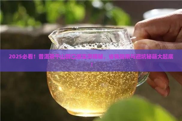 普洱茶千山醉口感