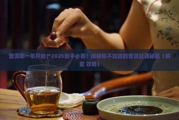 普洱哪一年开始