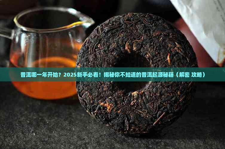 普洱哪一年开始