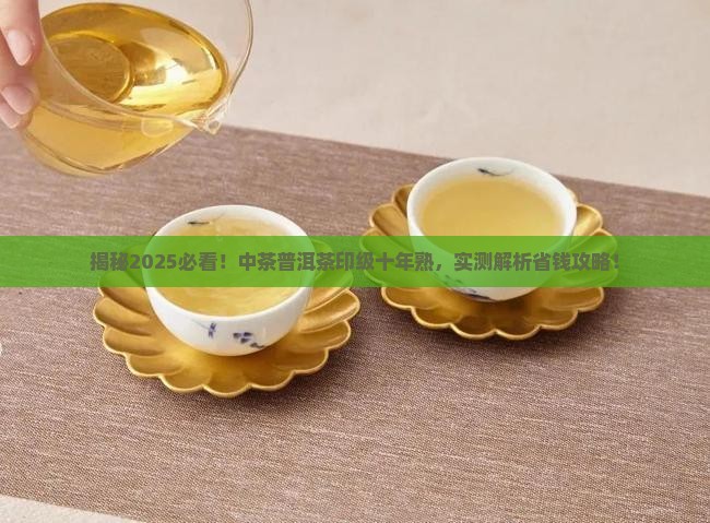 中茶普洱茶印级十年熟